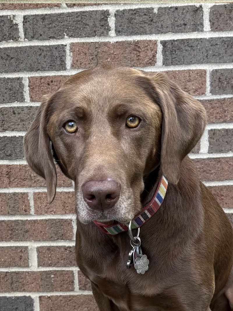 Ruby